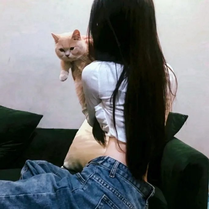 干吧!我的彩虹人生