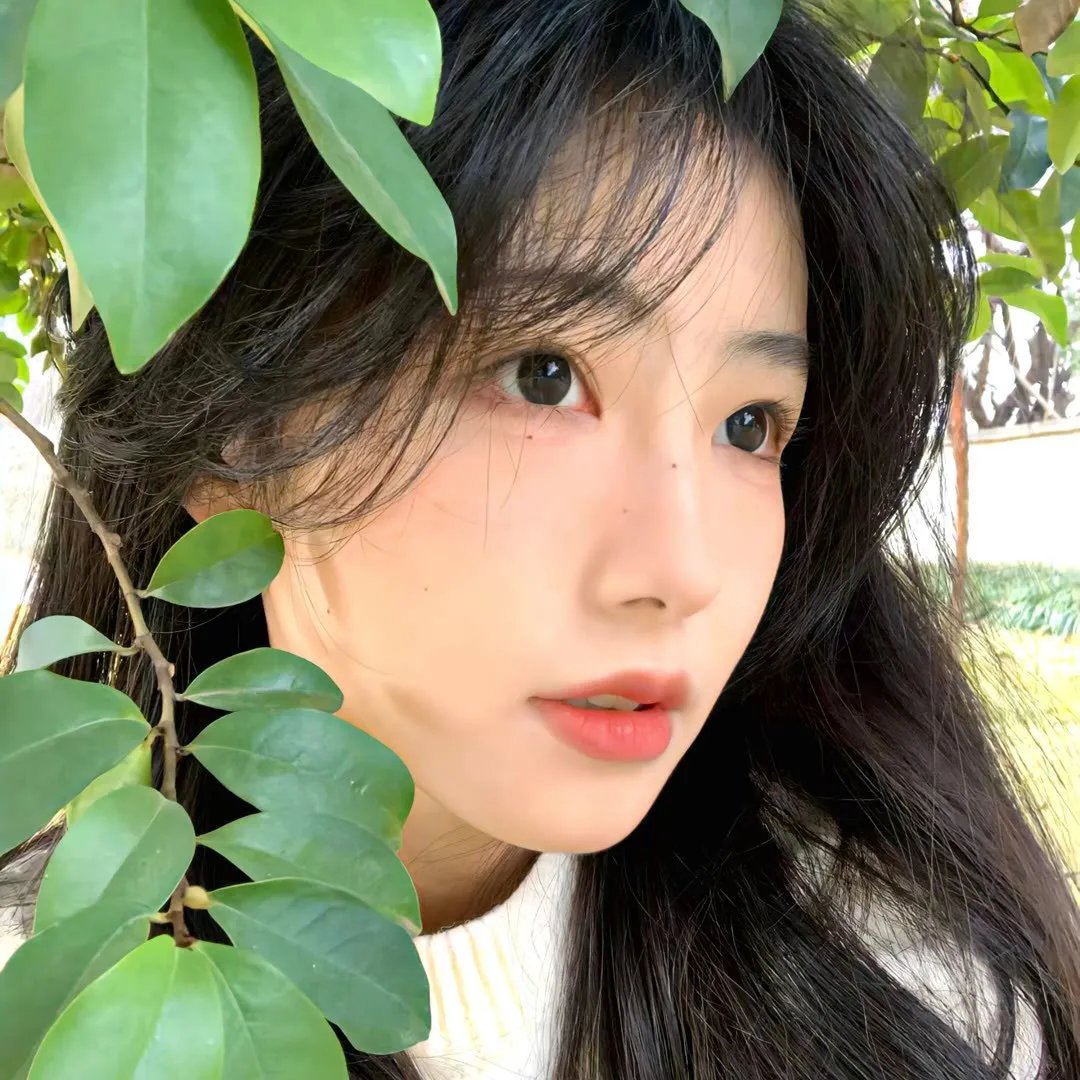 华丽的她